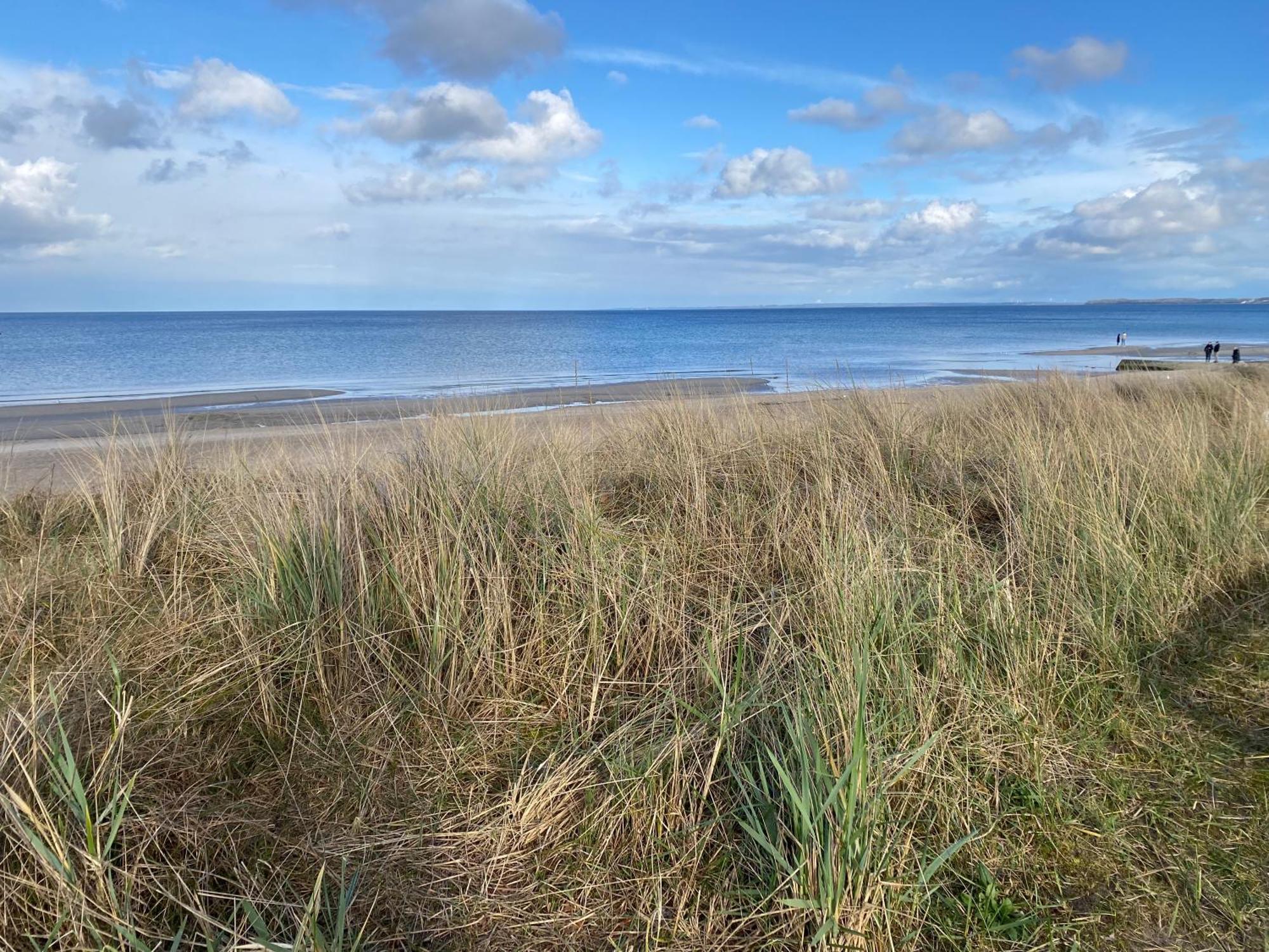 Beach House Chalet Seeparx Suesel Susel Zewnętrze zdjęcie